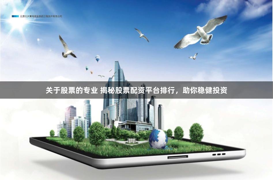 关于股票的专业 揭秘股票配资平台排行，助你稳健投资
