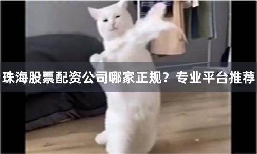 珠海股票配资公司哪家正规？专业平台推荐